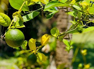 4173 Shell Rd, Sarasota, FL 34242