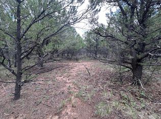 Canyon Dr LOT 16, Ridgway, CO 81432