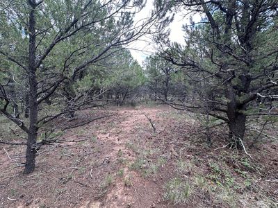 Canyon Dr #16, Ridgway, CO, 81432