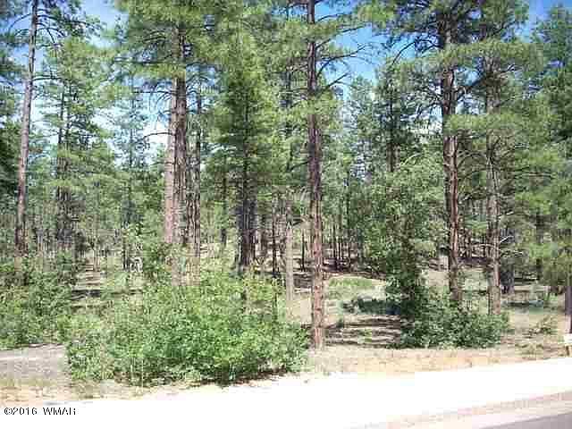 1st image of 2081 S Bristle Cone Dr