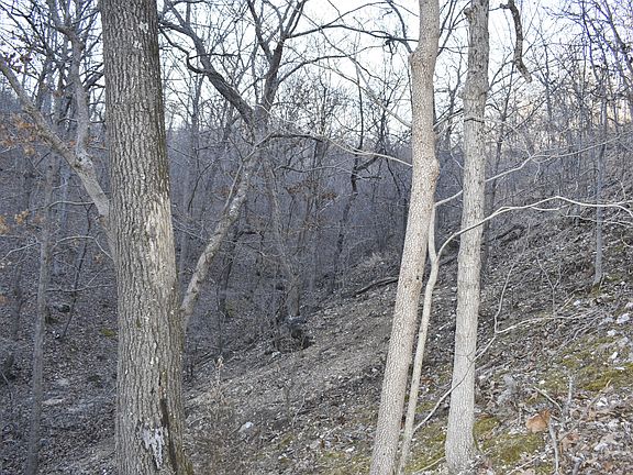 4th image of 000 Restoration Hill Road