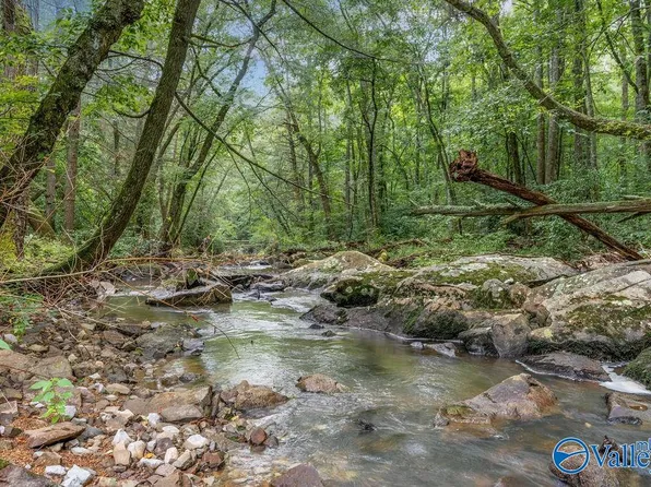 County Road 431, Bryant, AL 35958