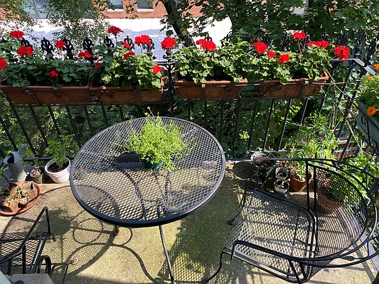 Rented by Douglas Elliman | media 25