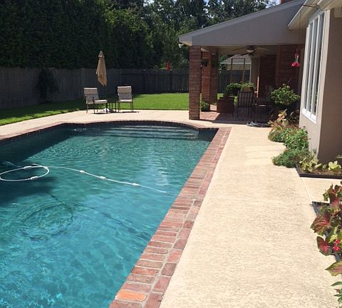 pool and back yard