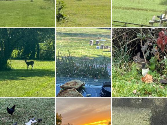 2nd image of 3432 London Lancaster Rd