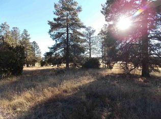 2215 Country Club Dr, Overgaard, AZ 85933