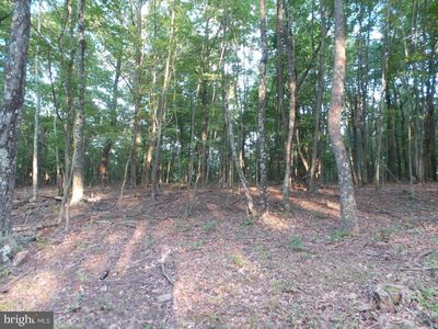 2 Youngblood Rd, Great Cacapon, WV, 25422