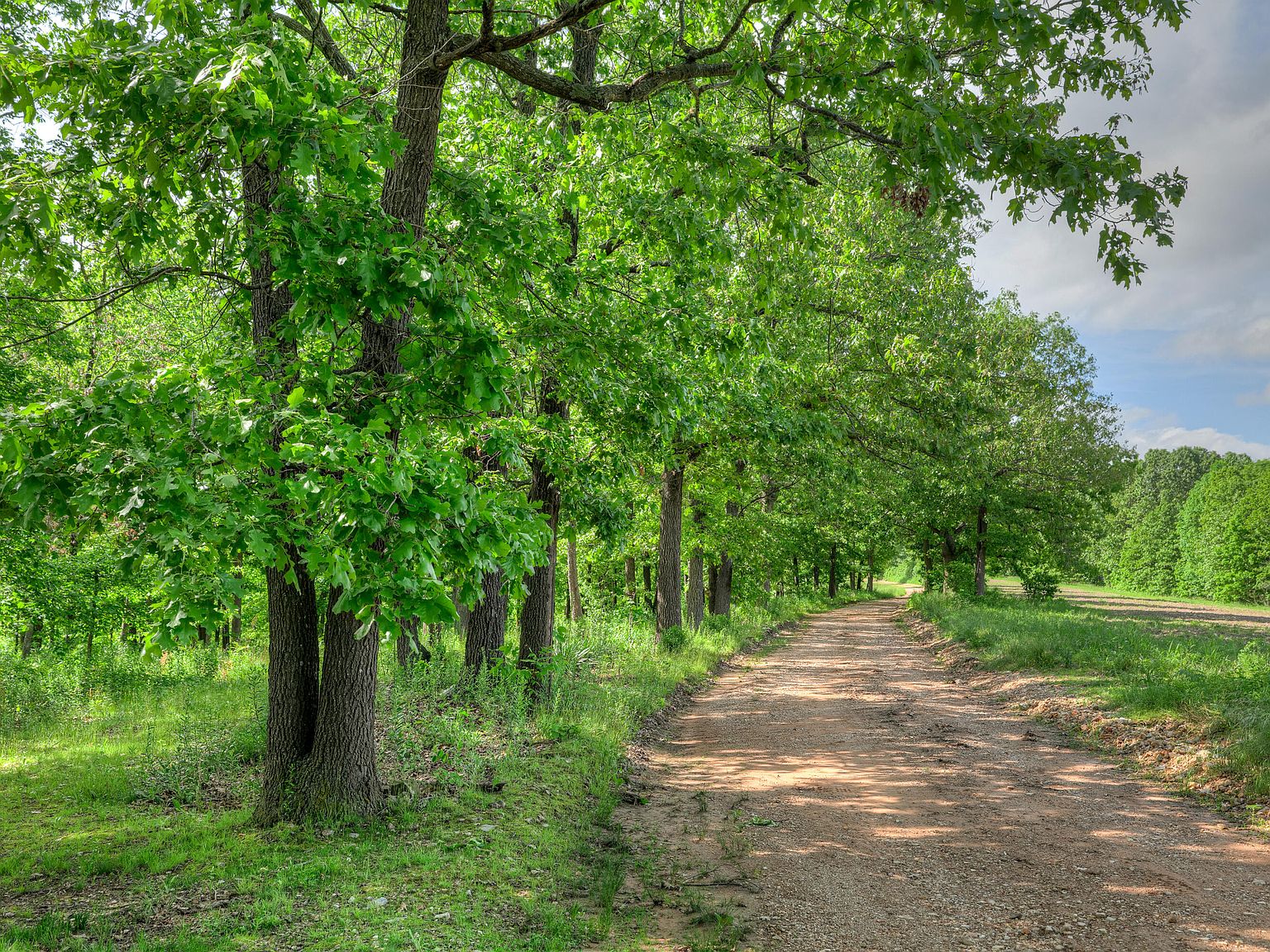 641 Buckeye Lane, Stella, MO 64867 Zillow