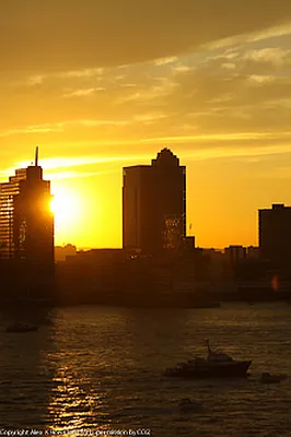 Rented by CCG Real Estate Brokerage | media 12