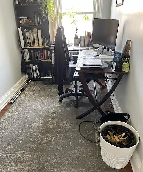 Living Room/ Office / Den area