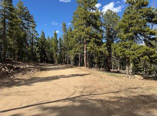 4 Pewabic Mine Rd #N006791, Central City, CO 80427