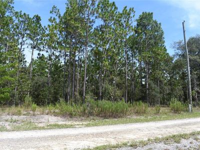 SE 136th Ave Lot 38, Dunnellon, FL, 34431