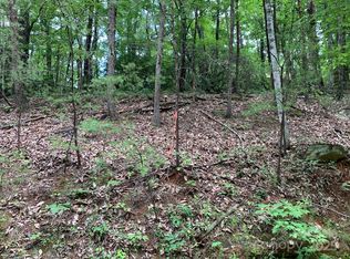 0 Roundabout Rd #35, Lake Lure, NC 28746