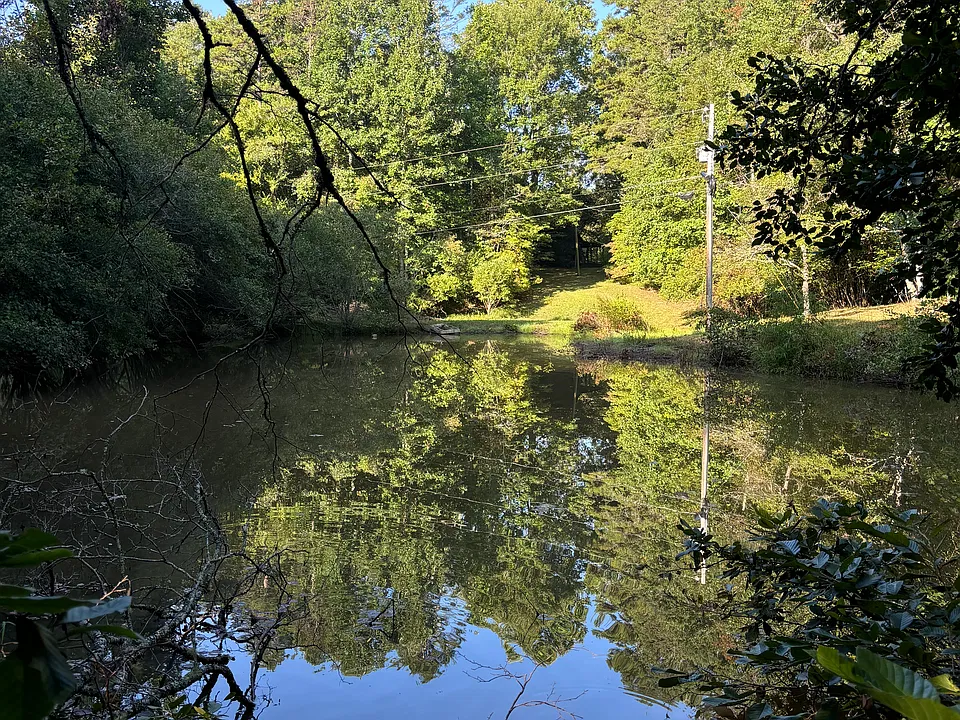 1493 Greasy Creek Rd