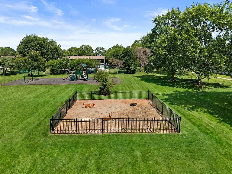 Dog Park