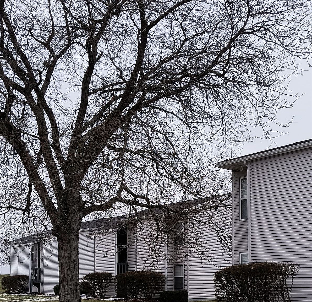 320 W Linden St, Carson City, MI 48811 Zillow