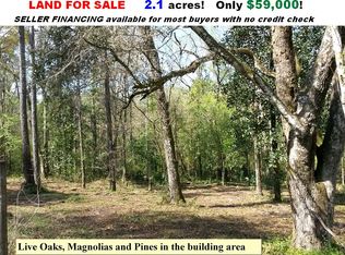 4819 Gopher Cir, Middleburg, FL 32068