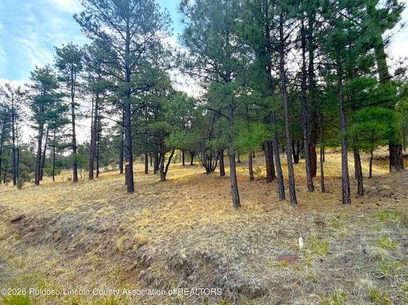66 Fort Stanton Rd, Alto, NM 88312