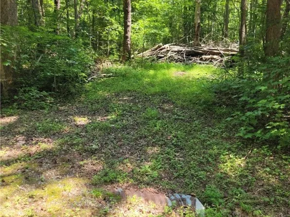 0 Ellis Dr, Maidens, VA 23102