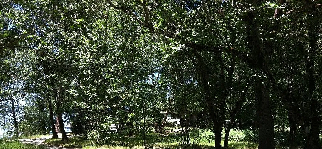 889 Three Pines Rd photo 1