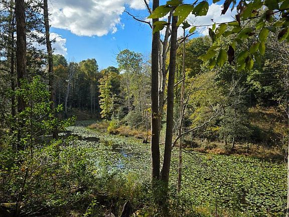3rd image of Spindles Mill Pond Rd
