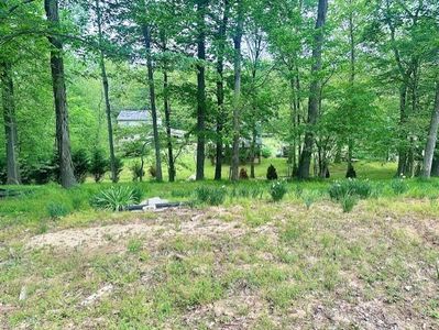 110 Fox Squirrel Dr, Dover, TN, 37058