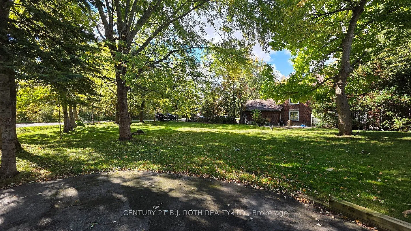 3 bed, $2,800 — Photo 3