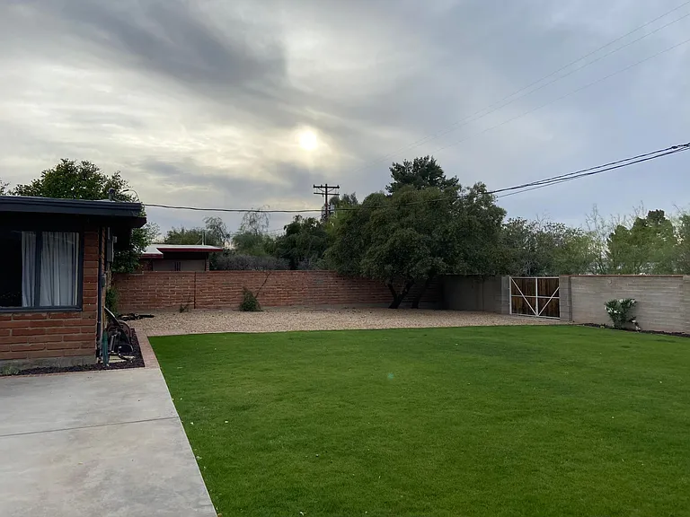 Backyard