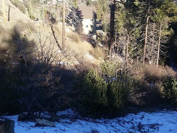 5th image of Brentwood Dr