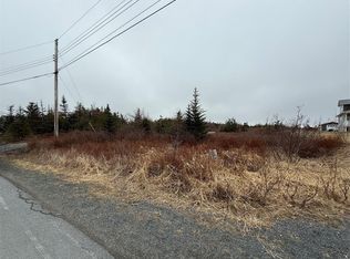 163 Ridge Rd, Harbour Main Chapel'S Cove Lakeview, NL A0A2P0