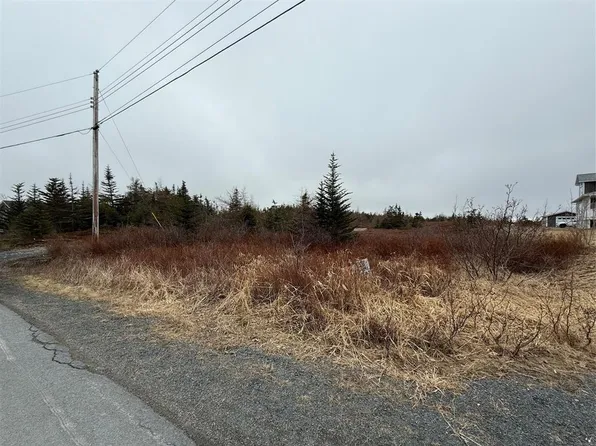 163 Ridge Road, Spaniards Bay, NL A0A3X0
