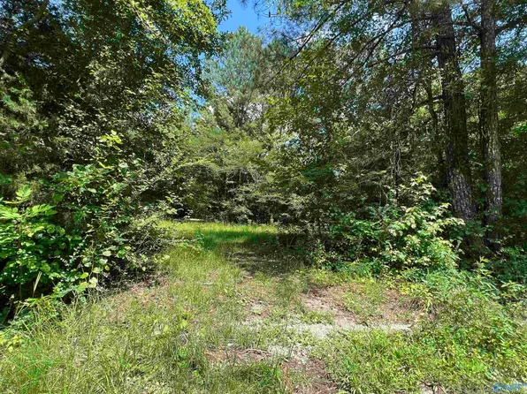 8460 Wolf Creek Rd, Pell City, AL 35128