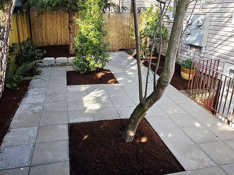 Backyard / Patio