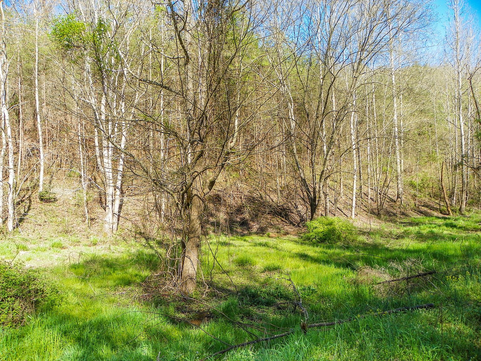 LOT 20 Licking Spring Way, Sevierville, TN 37876 Zillow