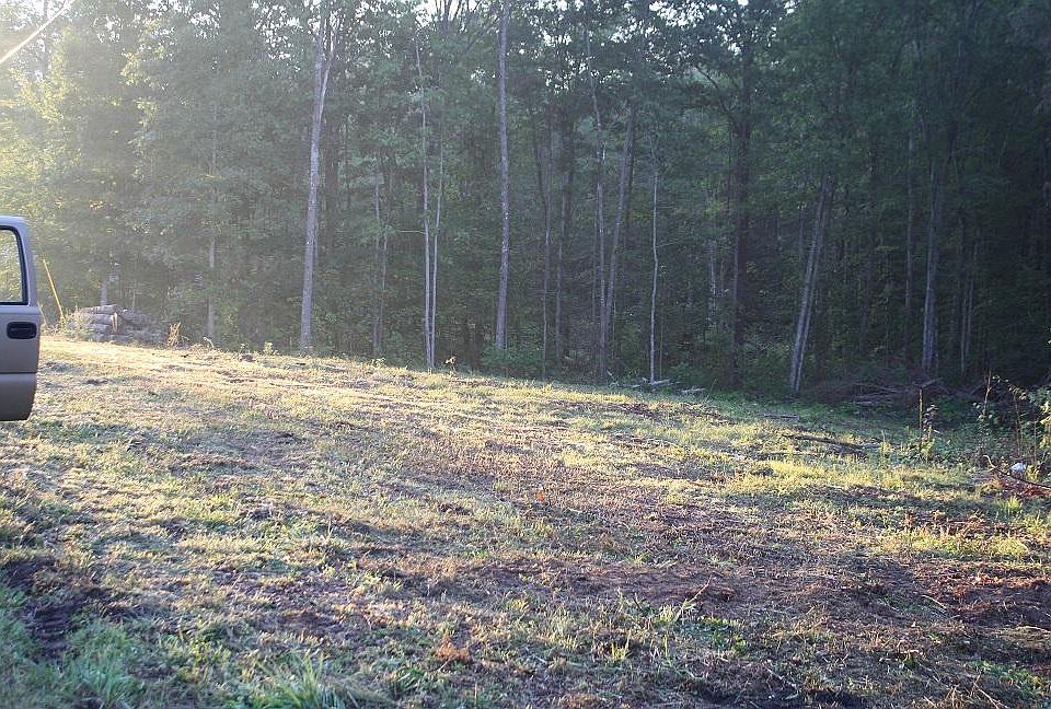 2nd image of Buffalo Trl