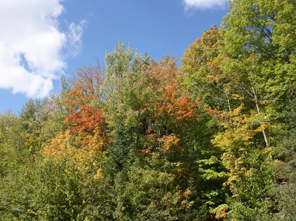 LOT 19 Many Rock Rd, Mercer, WI 54547