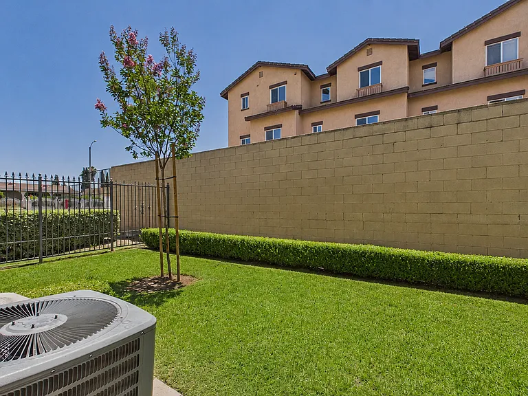 lar535 — Photo 26