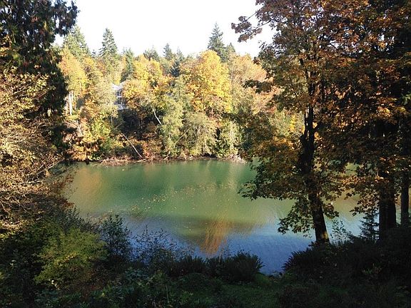 Zangle cove from lower porch