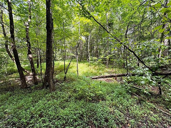 2nd image of LOT 2 Cypress Dr