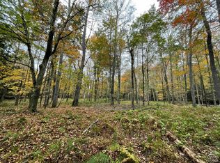 0 Mount Hope Rd, Swan Lake, NY 12783