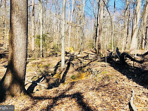 3rd image of 12357 Purcell Rd