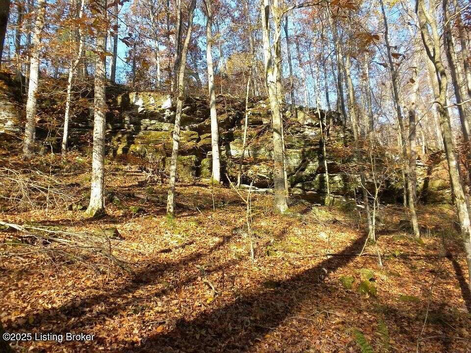 2nd image of 2409 Benleo Rd