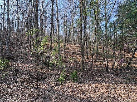 2nd image of Holly Tree Dr Lot 35