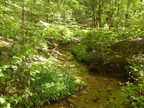 493 McCutcheon Rd, Linden, TN 37096