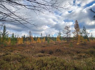 W Cadillac Dr, Lake, MI 48632