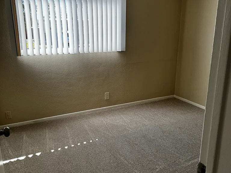 233 Oasis Dr — Photo 8