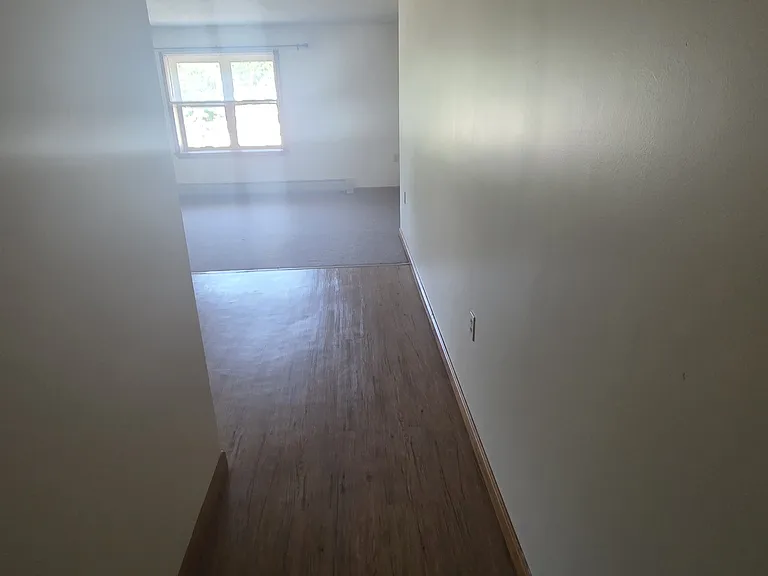 203 Palm St #4 — Photo 2