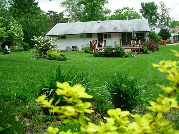 Backyard View 2 -May 08