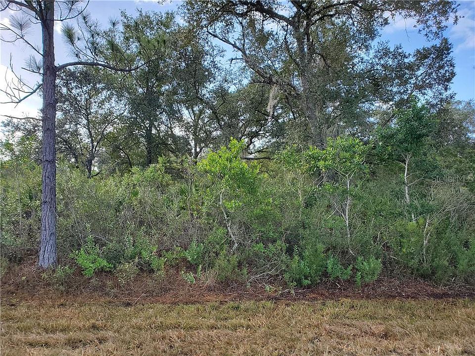 1st image of 819 Palm Ave