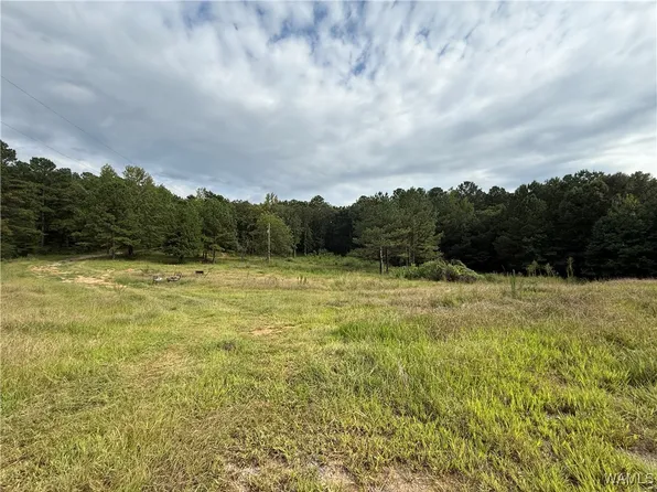 11316 Hobby Horse Rd, Vance, AL 35490